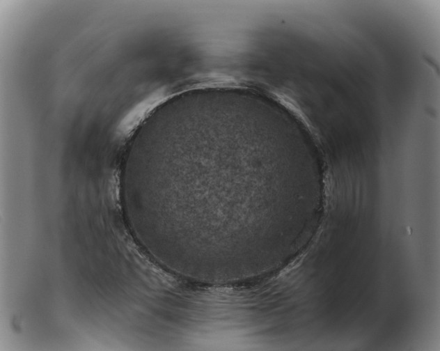 X0000103481455200809191848