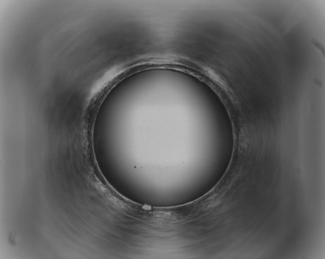 X0000103481456200809191848