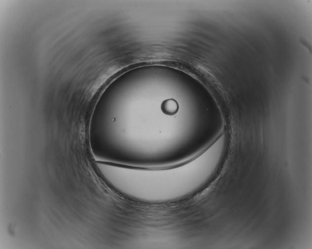 X0000103481457200809191848