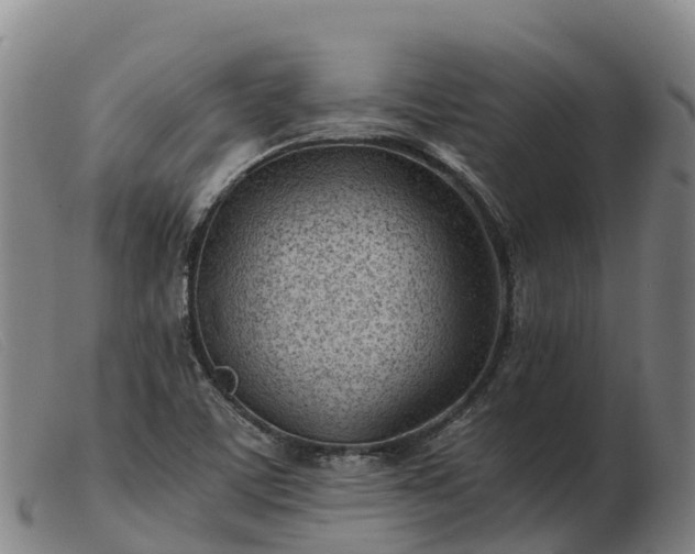 X0000103481459200809191848