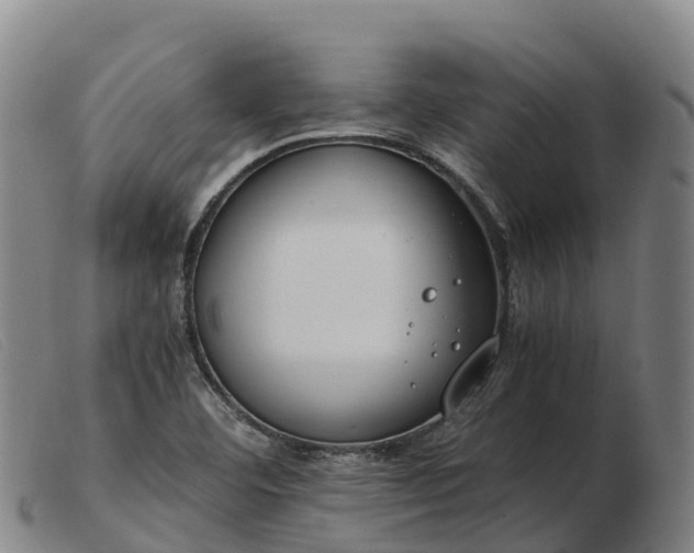 X0000103481460200809191848
