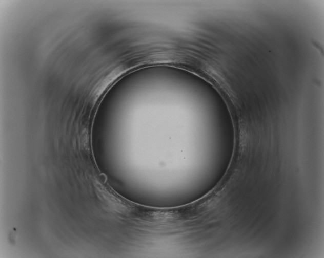 X0000103481465200809191848