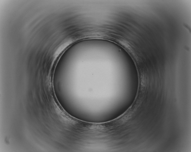 X0000103481466200809191848