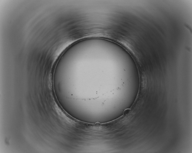 X0000103481468200809191848