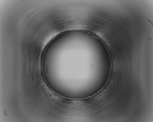 X0000103481469200809191848