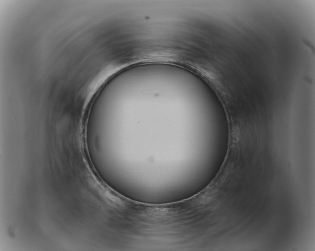 X0000103481470200809191847