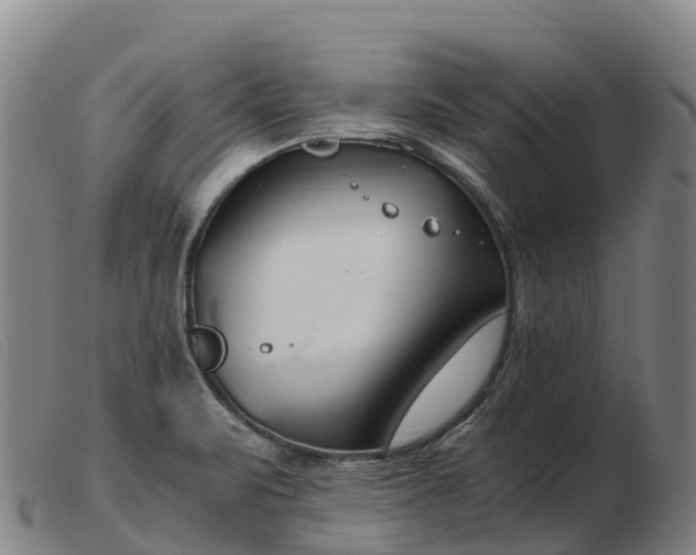 X0000103481471200809191847