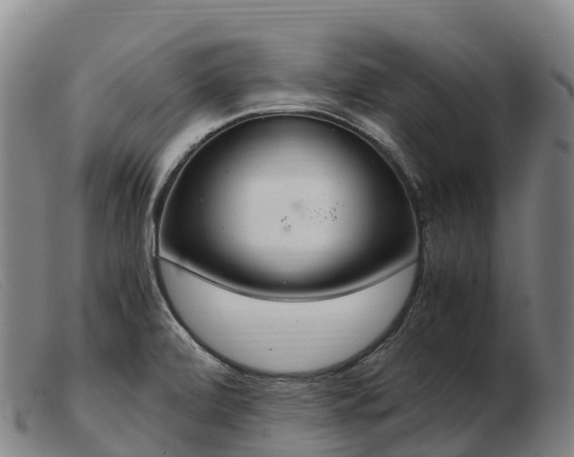 X0000103481472200809191847