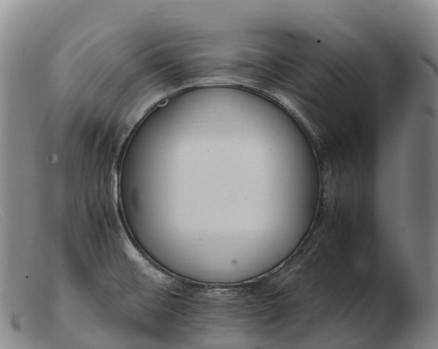X0000103481476200809191847