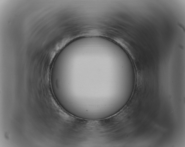 X0000103481477200809191847