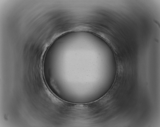 X0000103481478200809191847