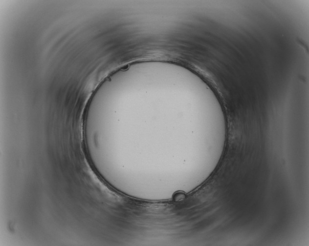 X0000103481479200809191847