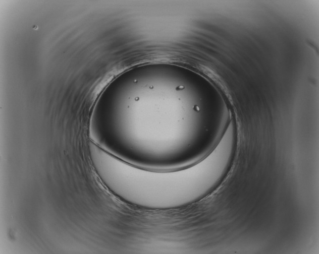 X0000103481481200809191847