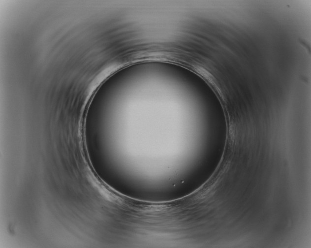 X0000103481482200809191847