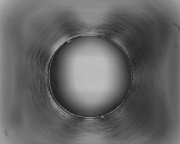 X0000103481483200809191847