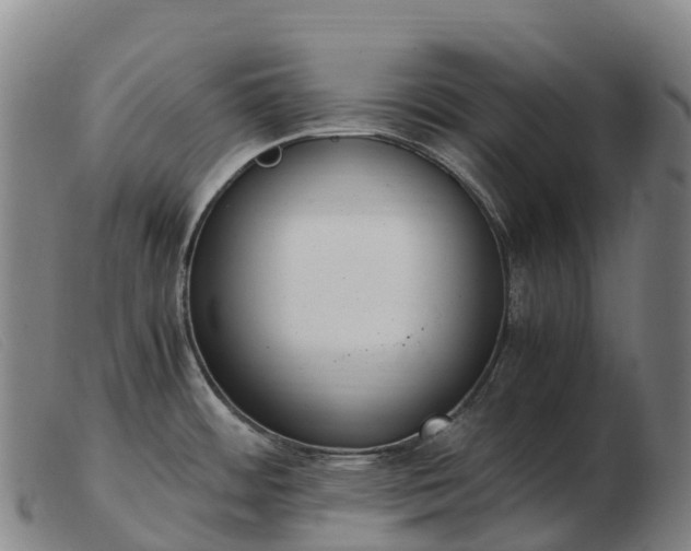 X0000103481484200809191847