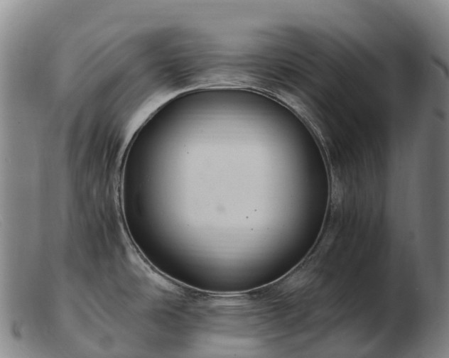 X0000103481486200809191847