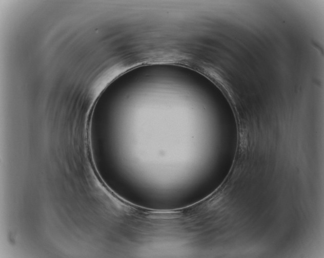X0000103481487200809191847