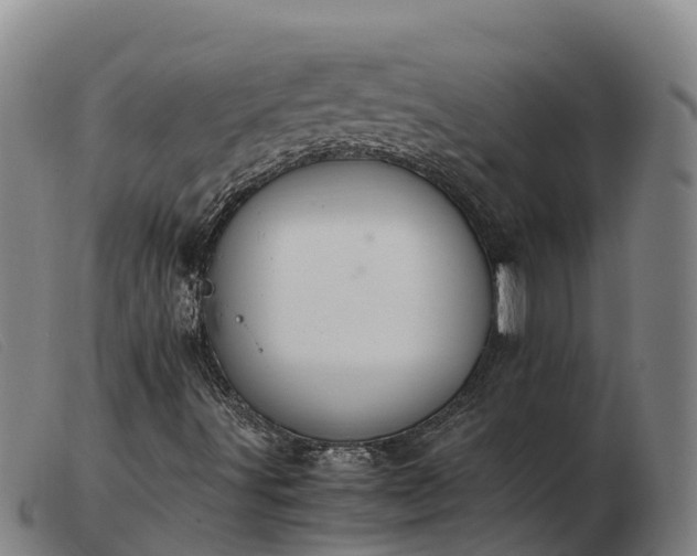 X0000103481491200809191846
