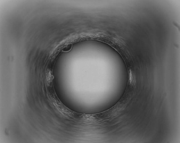 X0000103481492200809191846