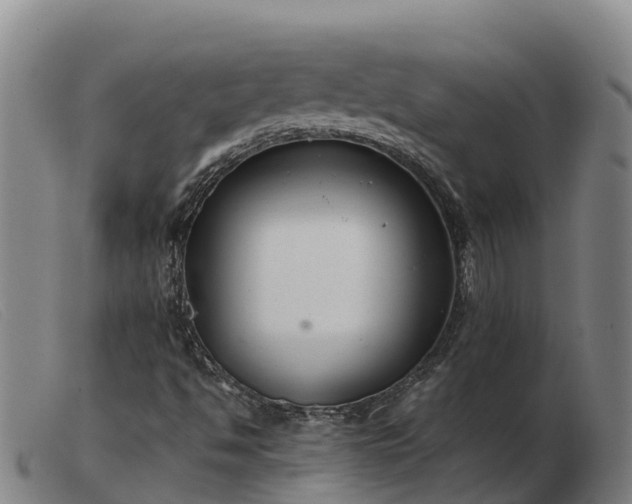 X0000103481494200809191846
