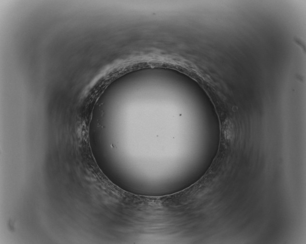 X0000103481495200809191846