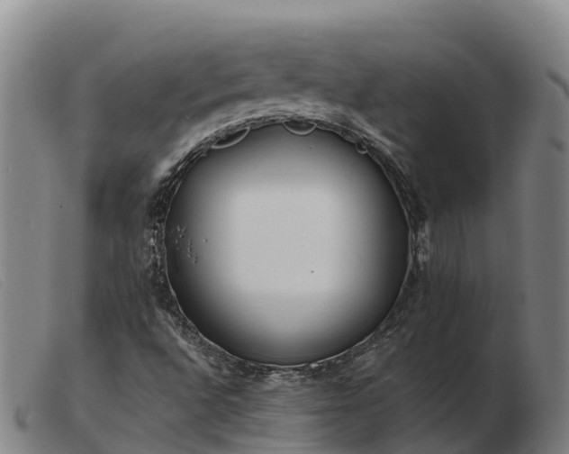 X0000103481496200809191846
