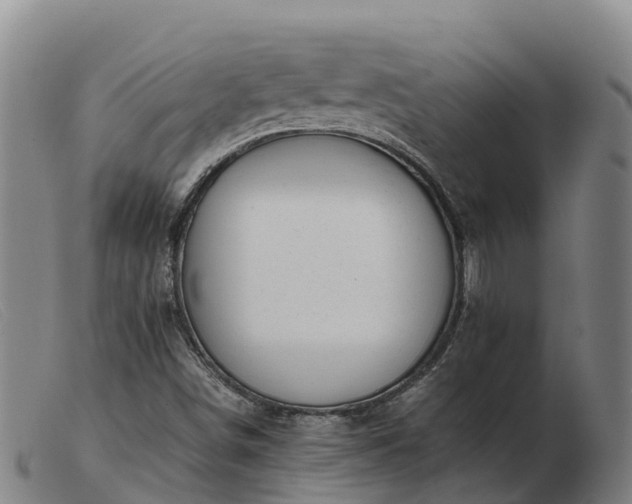 X0000103481498200809191846