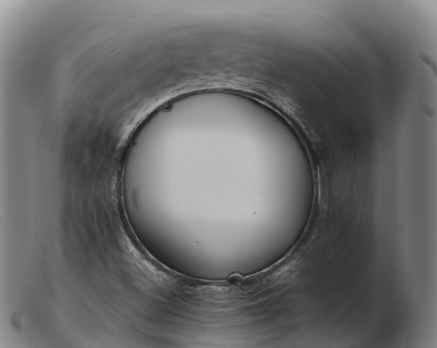 X0000103481500200809191846