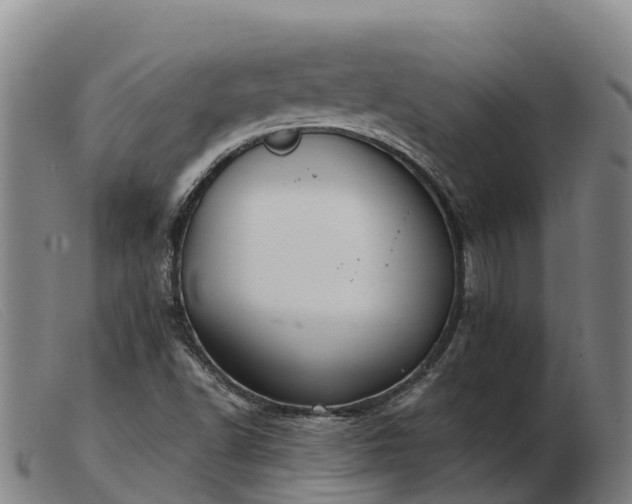 X0000103481502200809191846
