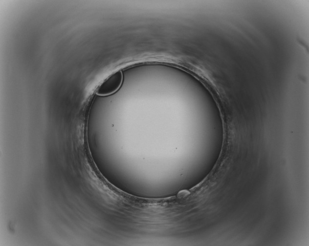 X0000103481504200809191846