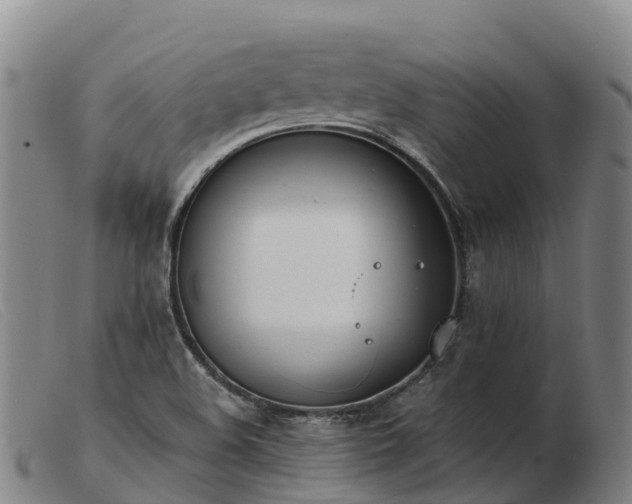 X0000103481508200809191846