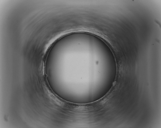 X0000103481510200809191847