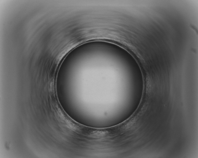 X0000103481513200809191847