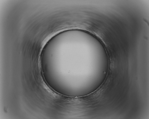 X0000103481516200809191847