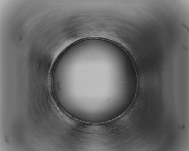 X0000103481517200809191847