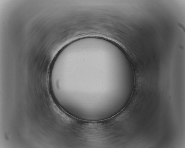 X0000103481518200809191847