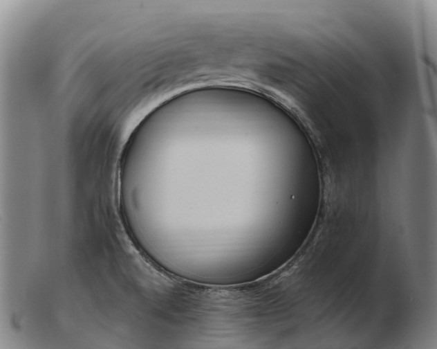 X0000103481520200809191847