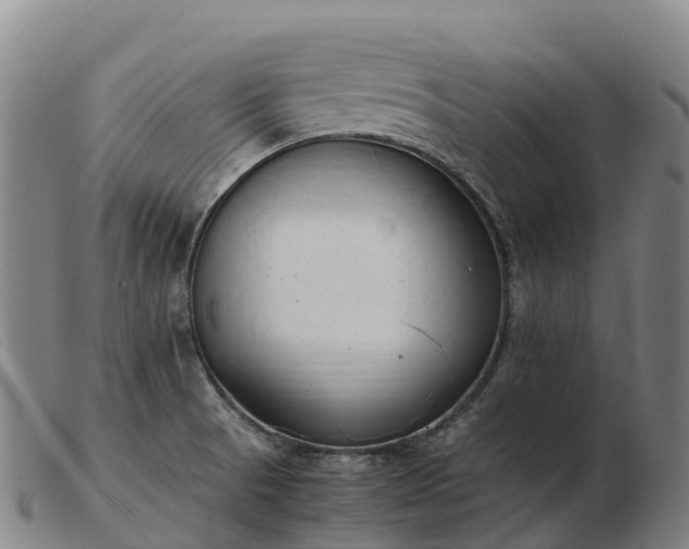 X0000103481521200809191847