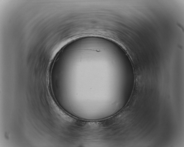 X0000103481523200809191847