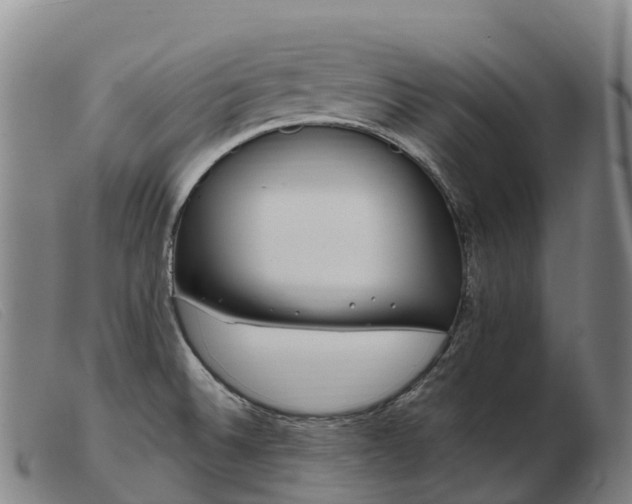 X0000103481524200809191847