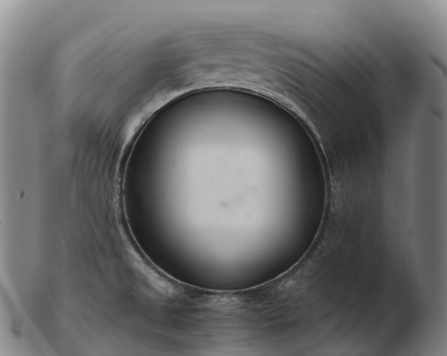 X0000103481525200809191847