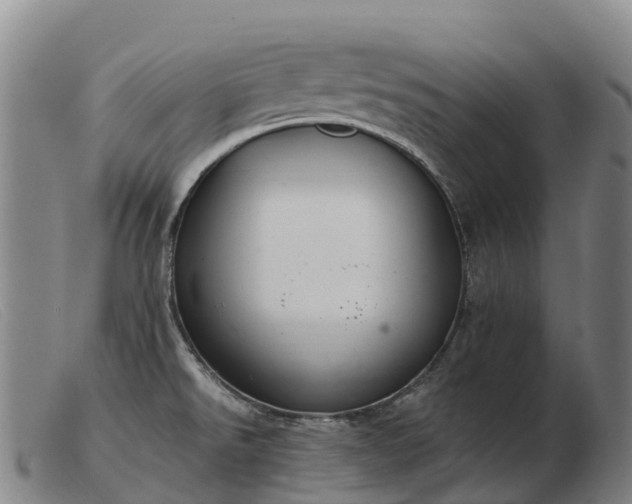 X0000103481526200809191847