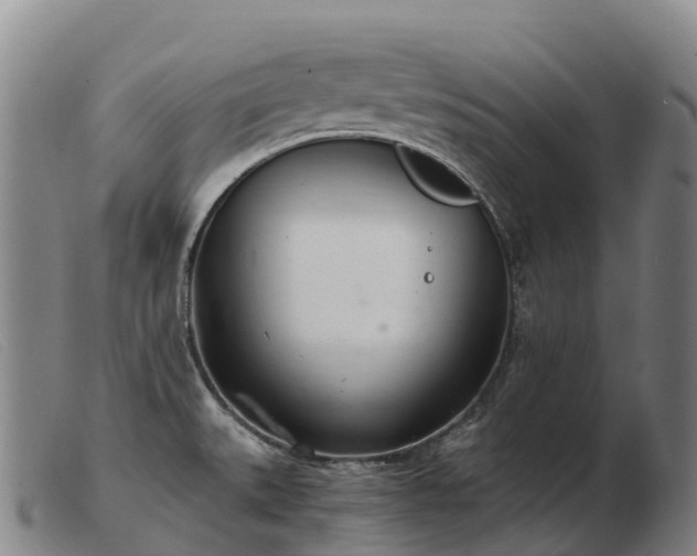 X0000103481527200809191847