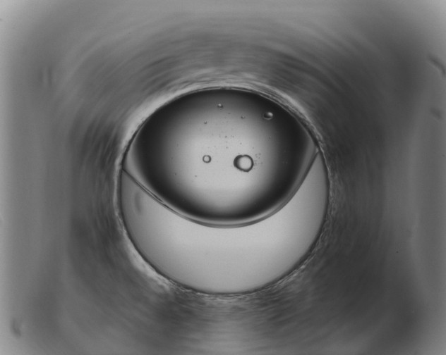 X0000103481528200809191847