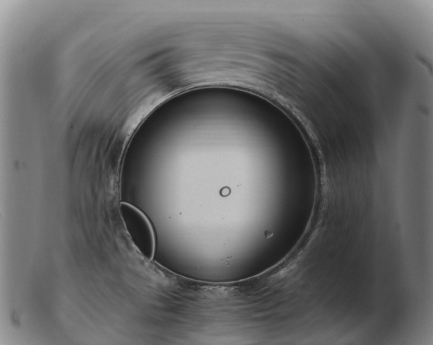 X0000103481529200809191847