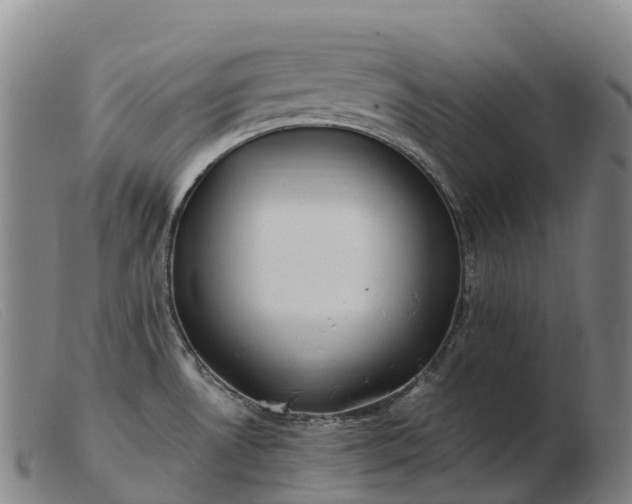 X0000103481530200809191847