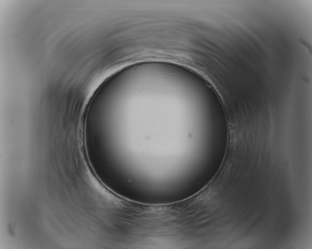 X0000103481531200809191847