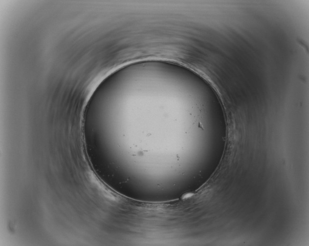 X0000103481532200809191847