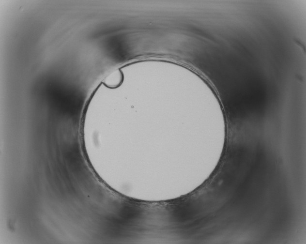 X0000103481533200809191847